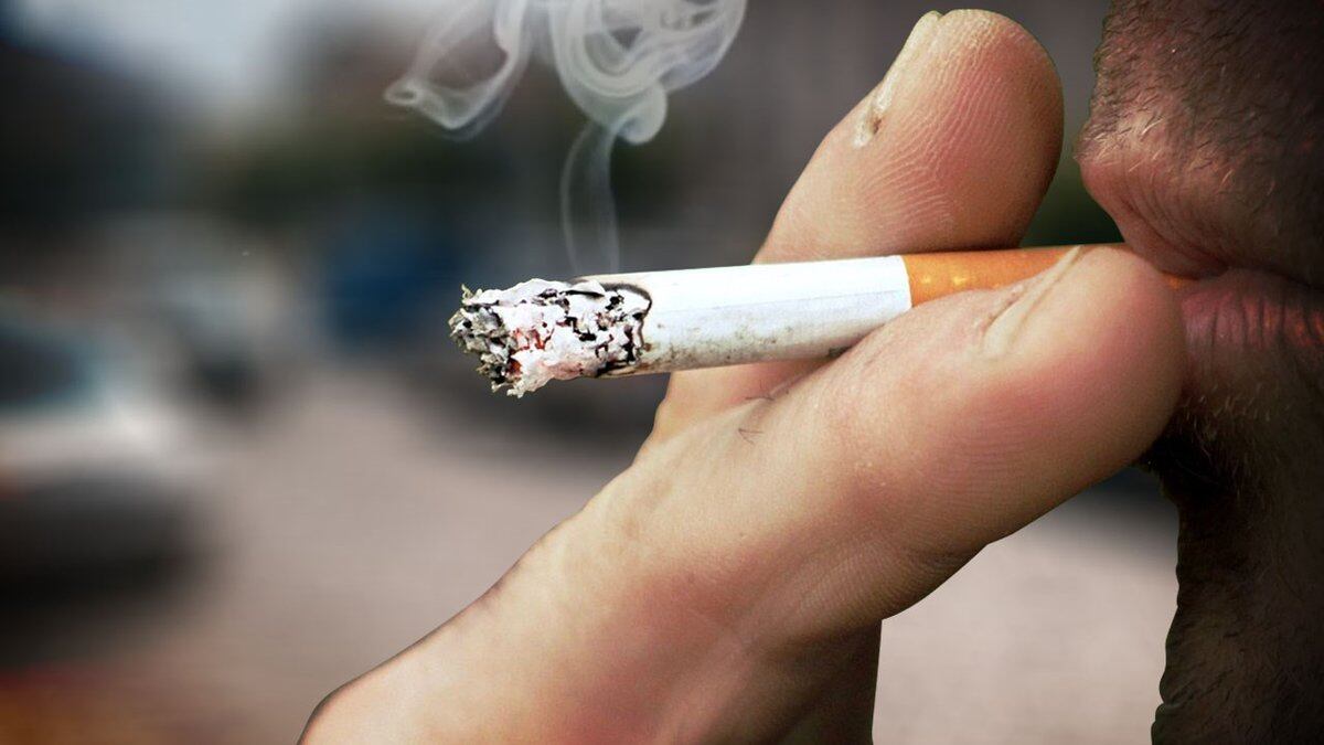‌雪茄和香烟哪个危害大